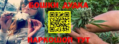 сатива Ставрополь