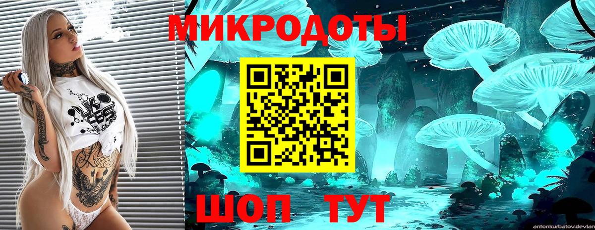 Псилоцибиновые грибы ЛСД Новокубанск