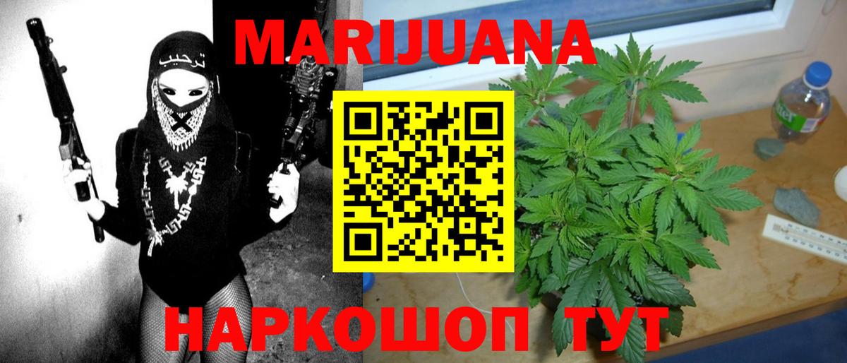 Марихуана индика  Вход с VPN  Бошки Шишки план  Марихуана SATIVA & INDICA  Новокубанск 